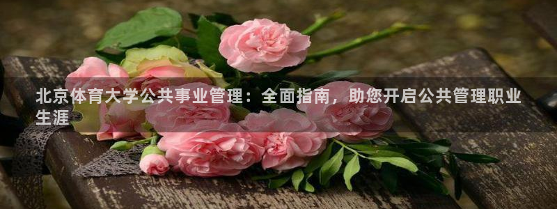 必一体育全站在线登录