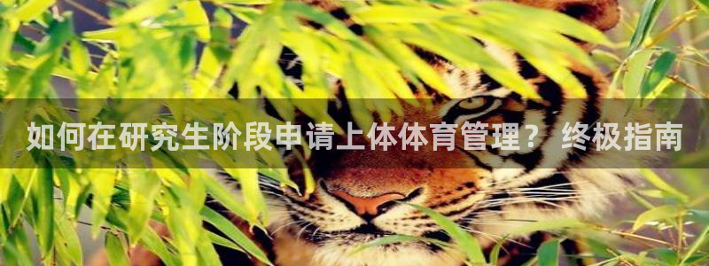 必一体育合法吗：如何