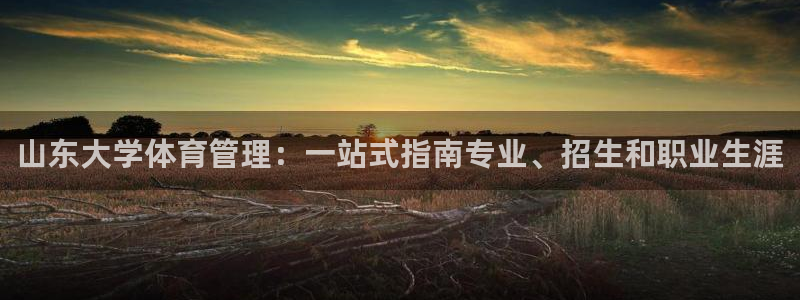必一体育网页登陆：山