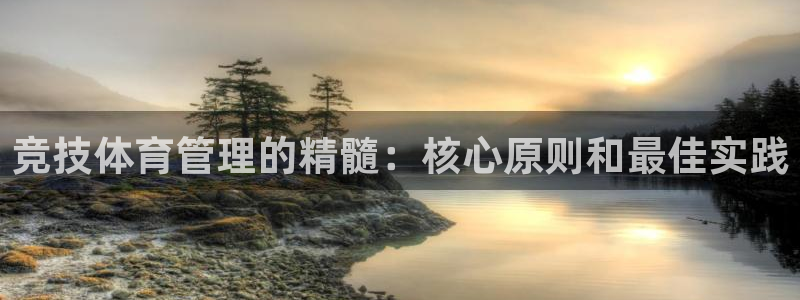 必一体育在哪下：竞技