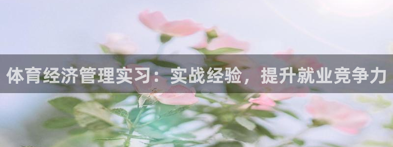 必一体育网页：体育经