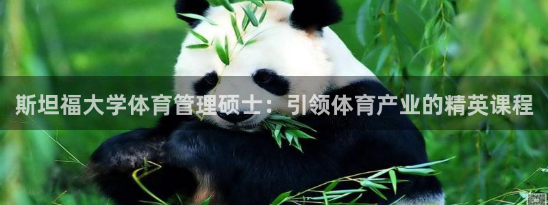必一运动sport网