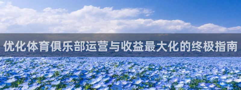 必一体育黑钱：优化体