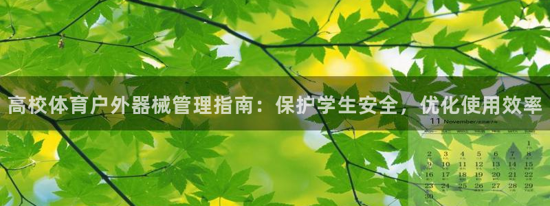 必一运动验证码：高校