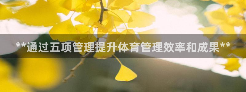Bsport体育必一