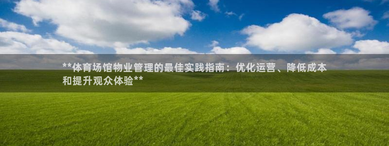 必一运动 b 体育素