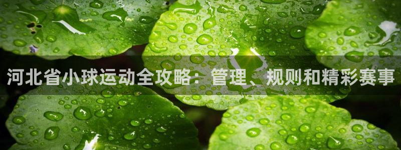 必一体育手机下载：河