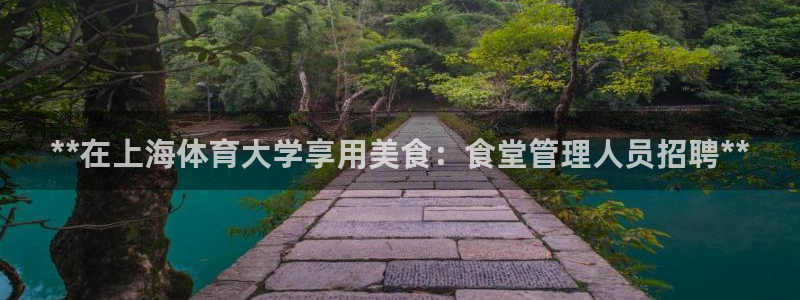 必一体育在线官网：*