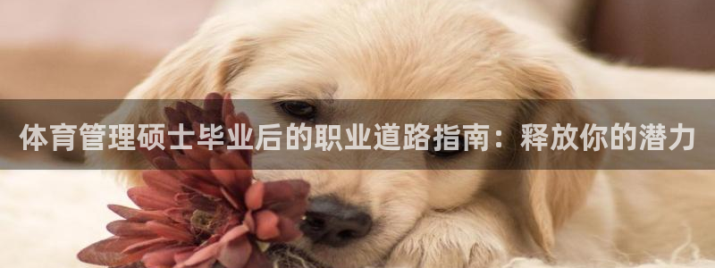 必一体育最新官网入口