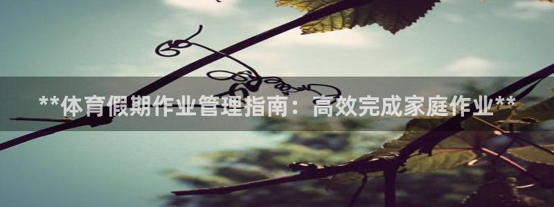 必一体育电子app：