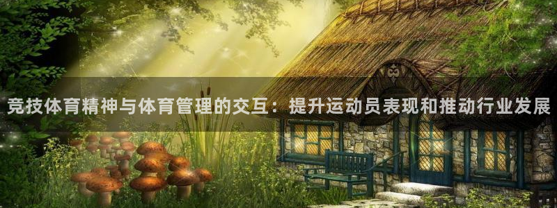 b体育必一运动网页版