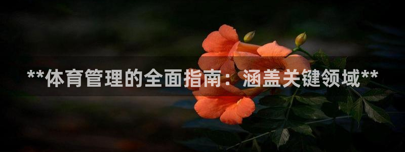 必一体育流水线是什么