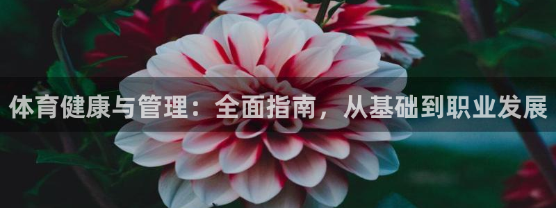 必一运动官网入口：体