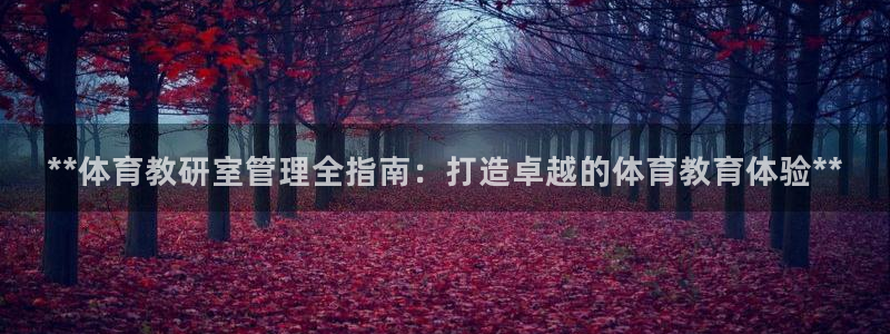 必一体育官方网站入口
