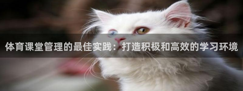 必一体育下载意思：体