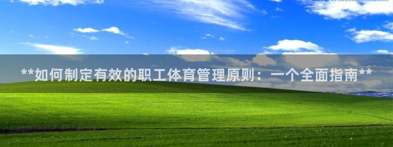 必一体育在线登陆：*
