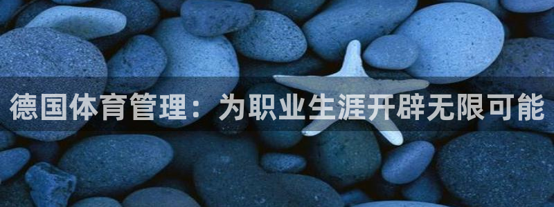 必一体育运动app：