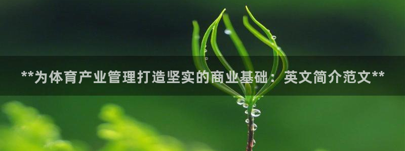 必一体育在线玩：**