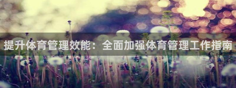 必一体育登陆：提升体