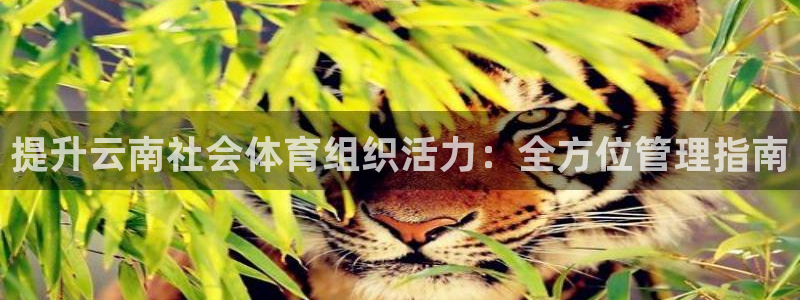 必一体育官方网站入口
