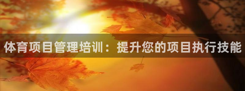 必一体育电子app：