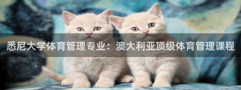 必一体育运动平台官网