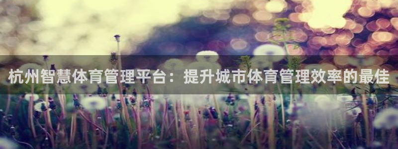 必一体育电子app：