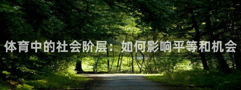 必一运动体：体育中的