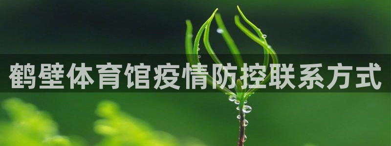 必一体育app官方正