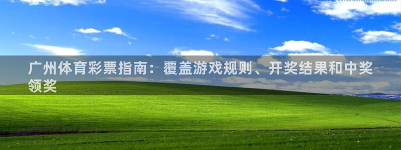 必一运动 b 体育素