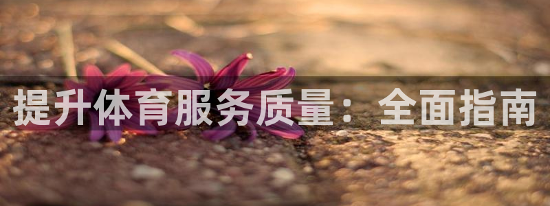 必一体育黑钱：提升体