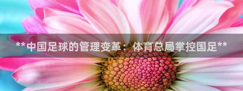必一体育是啥：**中