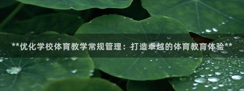 b体育必一运动网页版