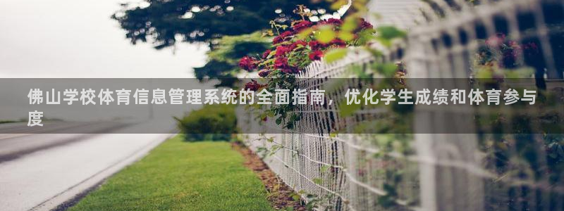 必一运动：佛山学校体