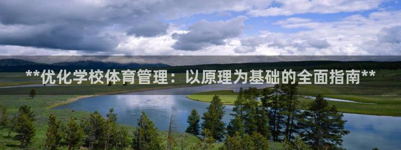 b体育必一下载：**