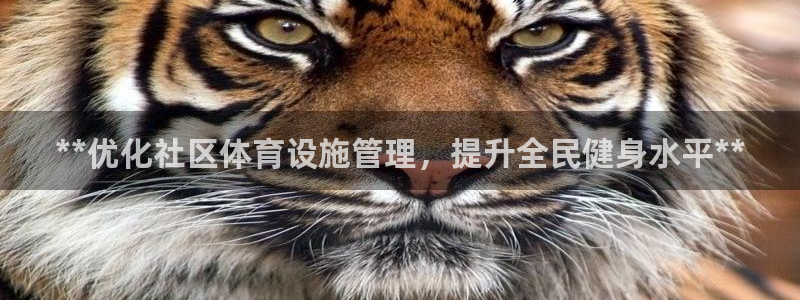 必一体育下载一样吗：