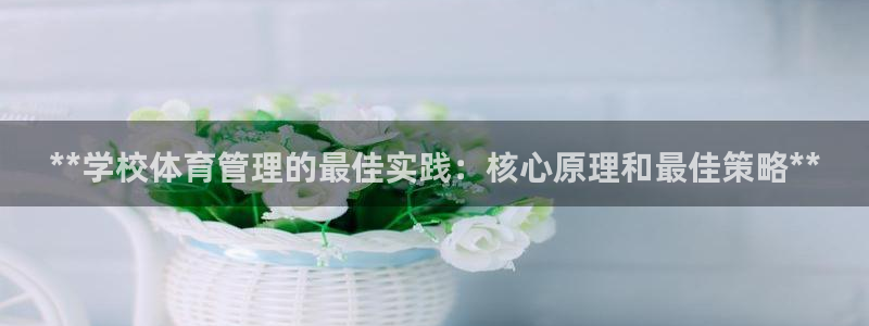 必一体育登录：**学