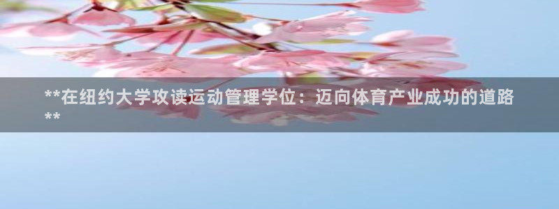 必一体育官网网址：*