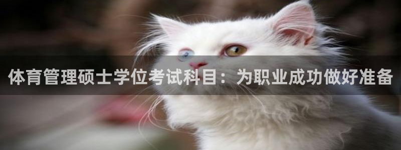 必一体育官方app下