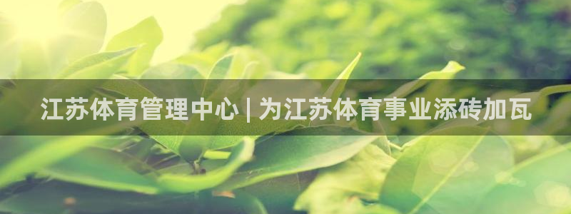 必一体育游戏特色：江