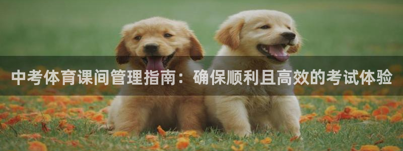 必一体育登录入口：中