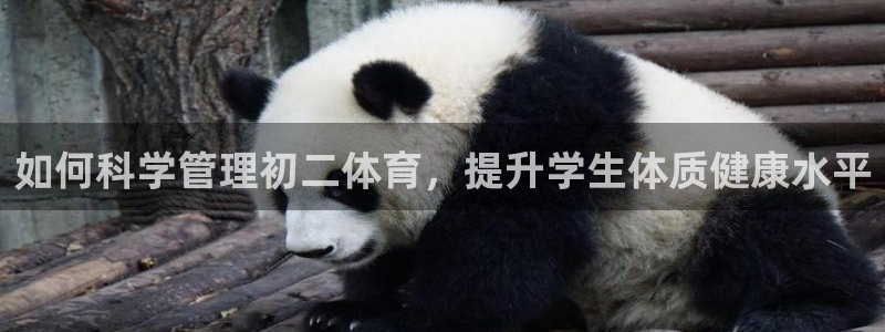 必一体育app下载最