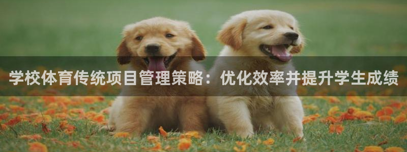 必一运动·(B-Sp