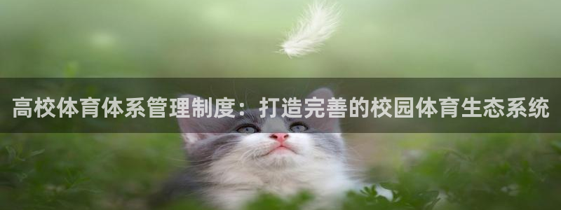 必十二和必一的副作用