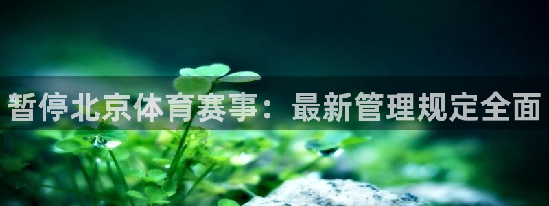 必一运动体育app：