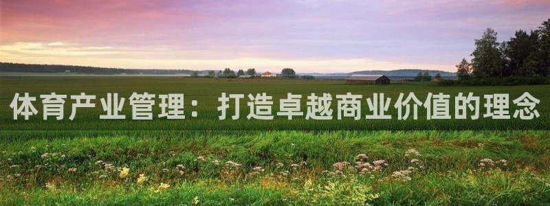 必一运动 b 体育素