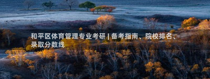 必一运动aop：和平