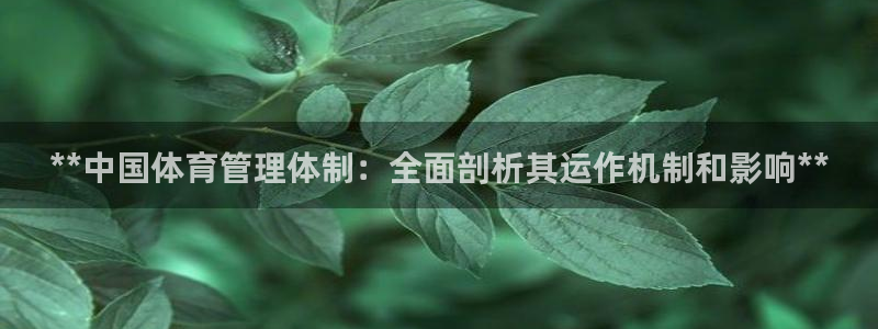 必一体育下载登入：*