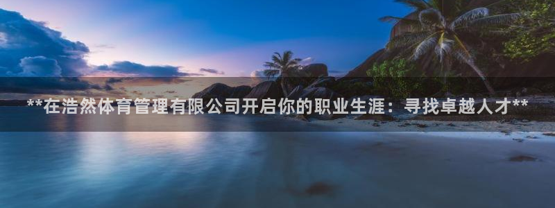 b体育必一运动网页版