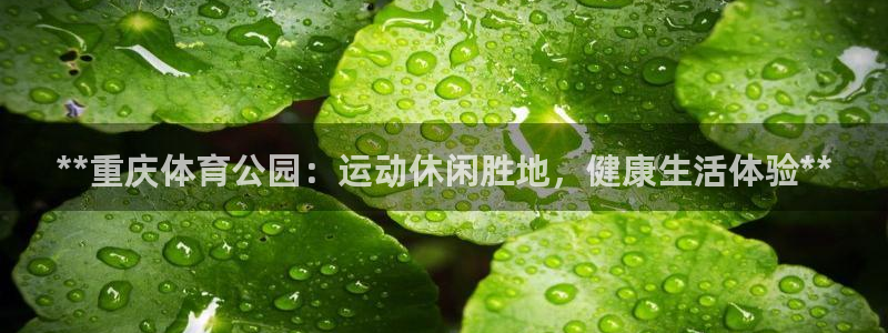 必一体育下载app下